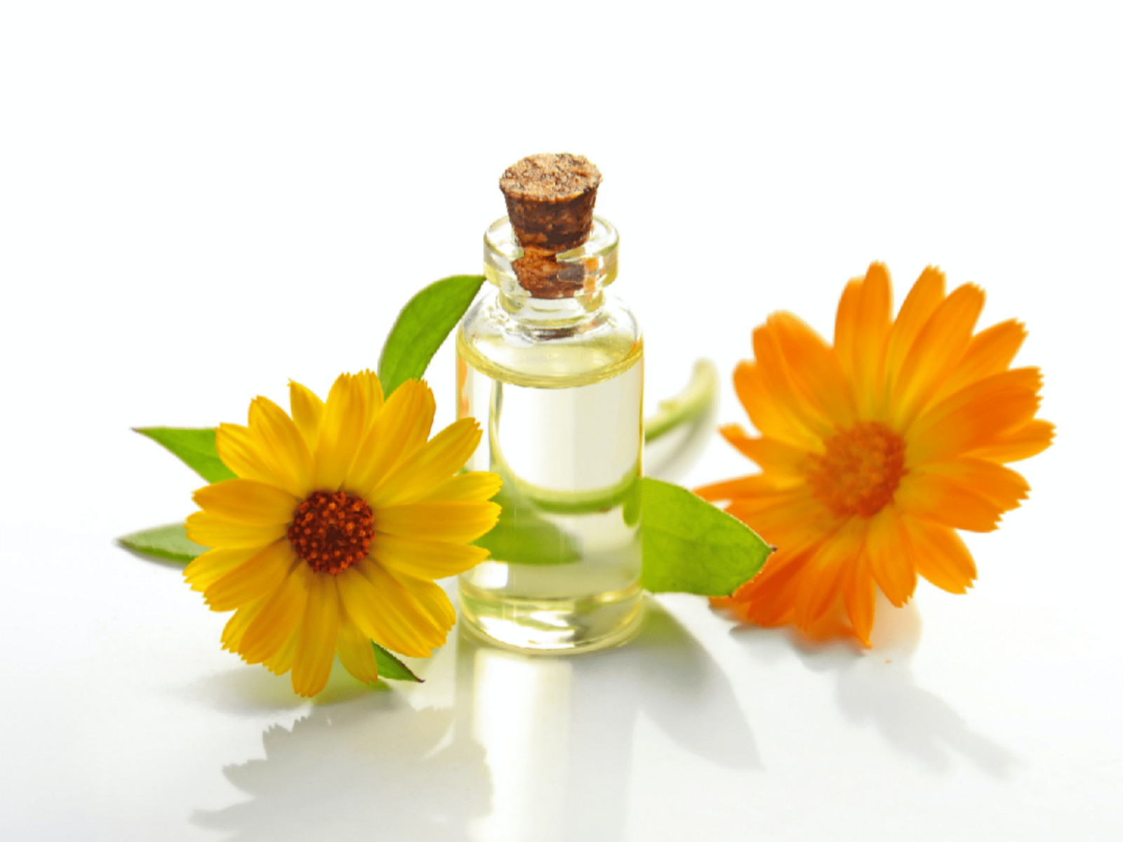 Castor oil in telugu ఆముదం నూనెతో ఆరోగ్య ప్రయోజనాలు Telugusitara