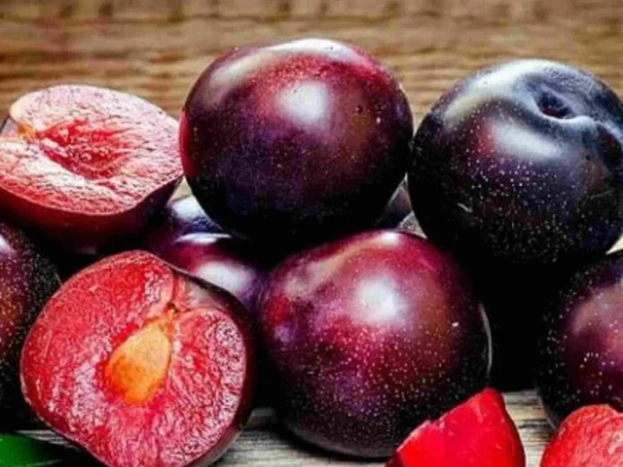 Albakara fruit