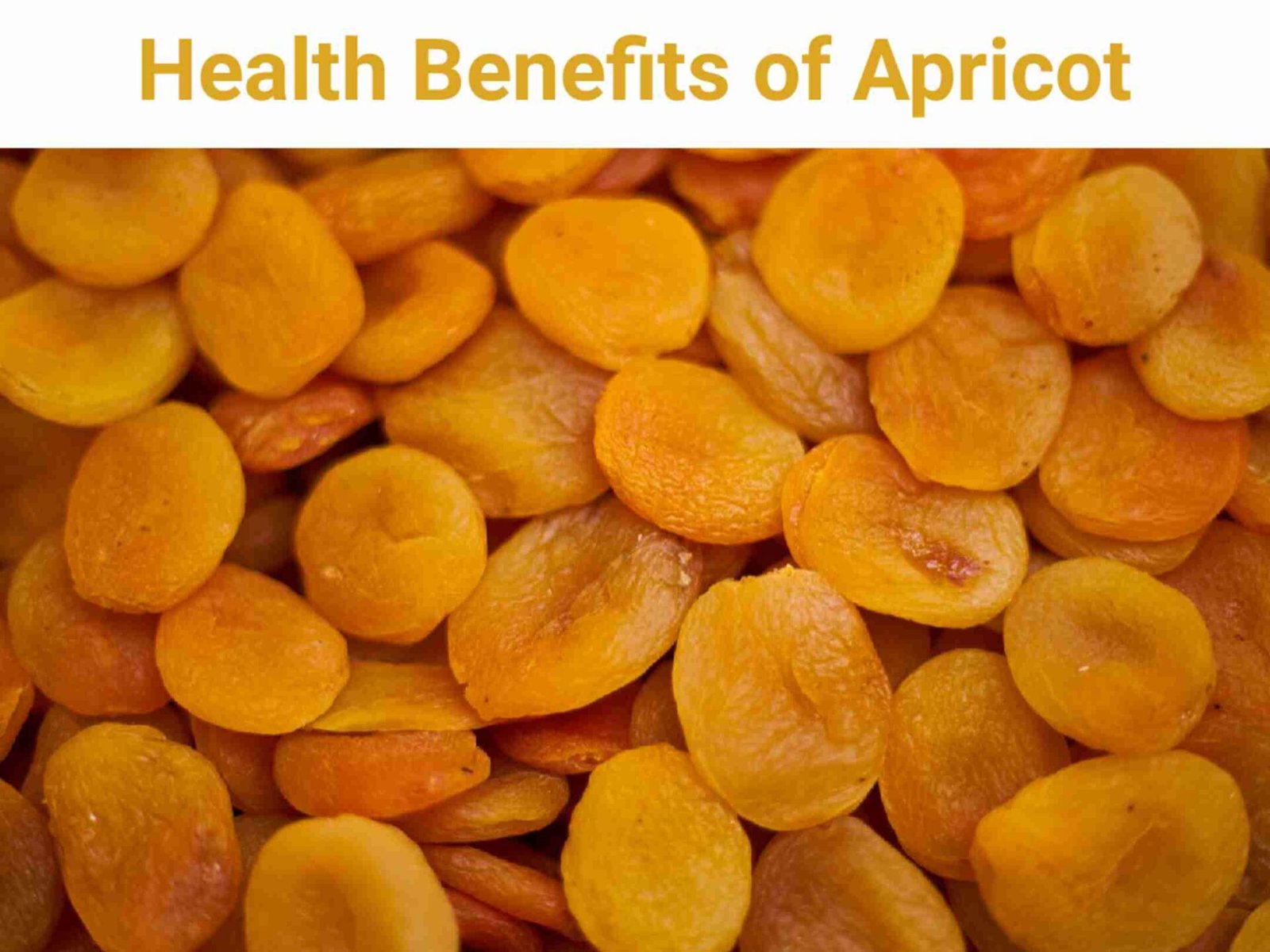 Apricot in telugu ఆప్రికాట్ తో అద్భుతమైన అరోగ్య ప్రయోజనాలు Telugusitara