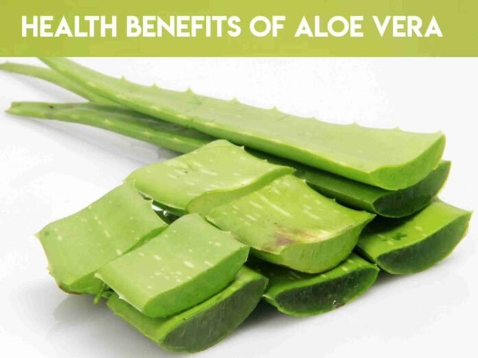 Aloe vera benefits