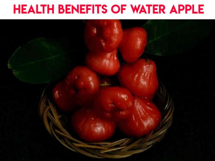 Water apple