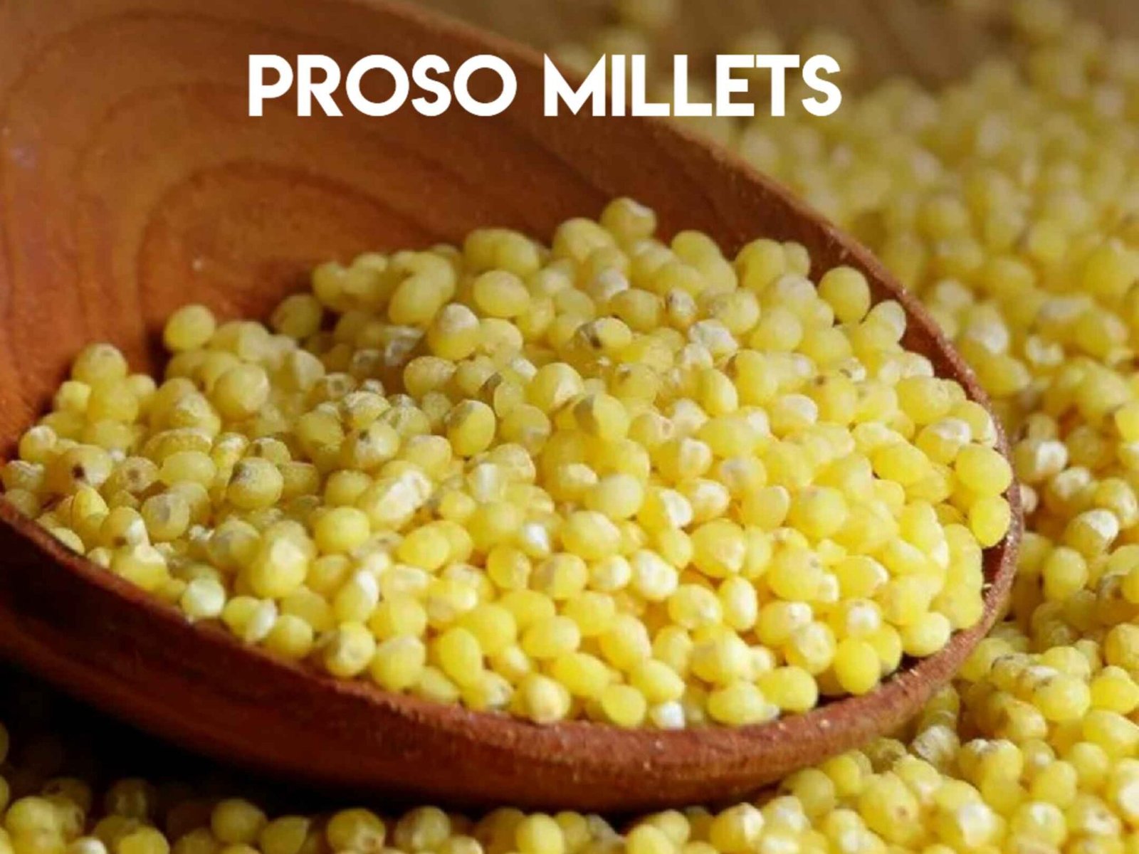 Proso millet in telugu వరిగలు వలన కలిగే ఆరోగ్య ప్రయోజనాలు Telugusitara