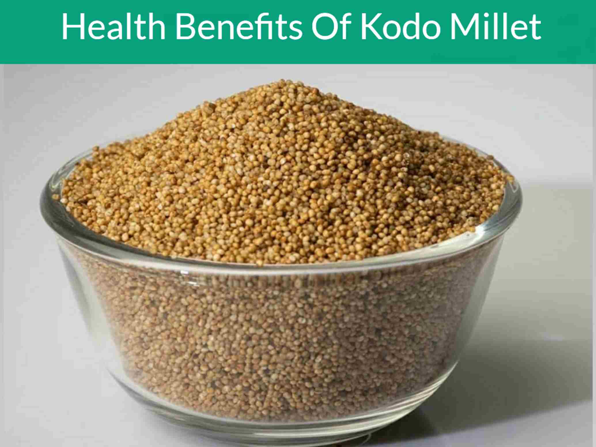 What Is Kodo Millet Nutrition Health Benefits And 52 OFF what-is-kodo-millet-nutrition-health-benefits-and-52-off
