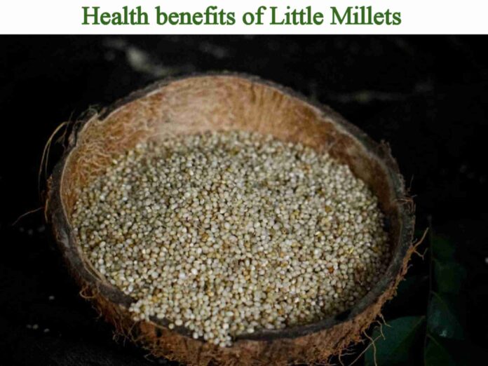 Little millet in telugu
