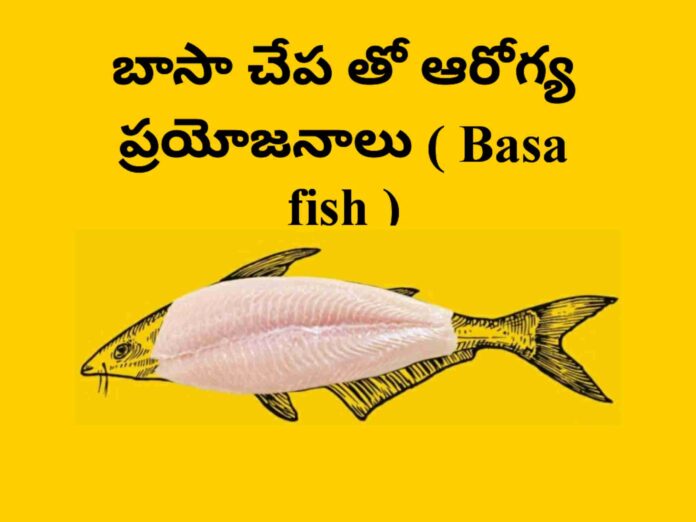 Basa fish in telugu