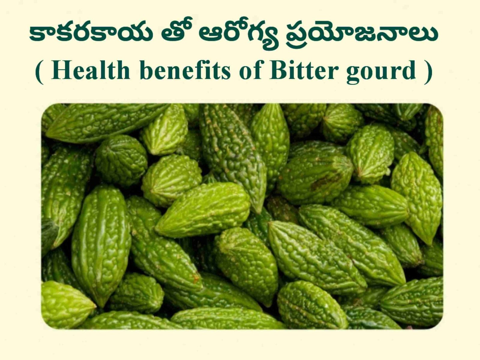 Bitter gourd in telugu కాకరకాయ తినడం వల్ల కలిగే ఆరోగ్య ప్రయోజనాలు