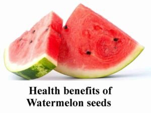 Benefits of watermelon seeds : పుచ్చకాయ గింజలతో ఆరోగ్య ప్రయోజనాలు