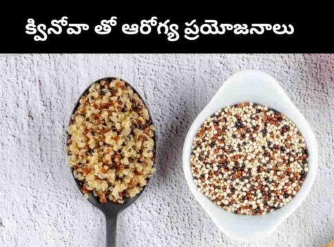 Quinoa in telugu : క్వినోవా తో అద్భుతమైన ఆరోగ్య ప్రయోజనాలు - Telugusitara