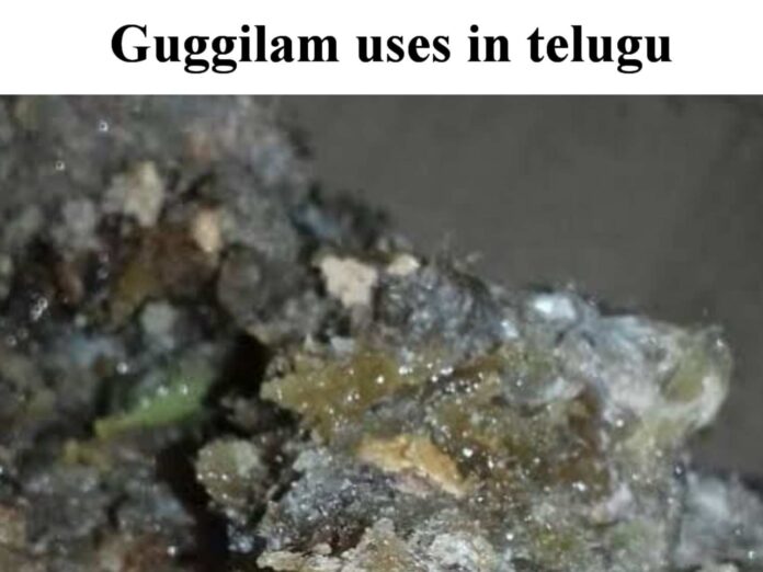 Guggilam