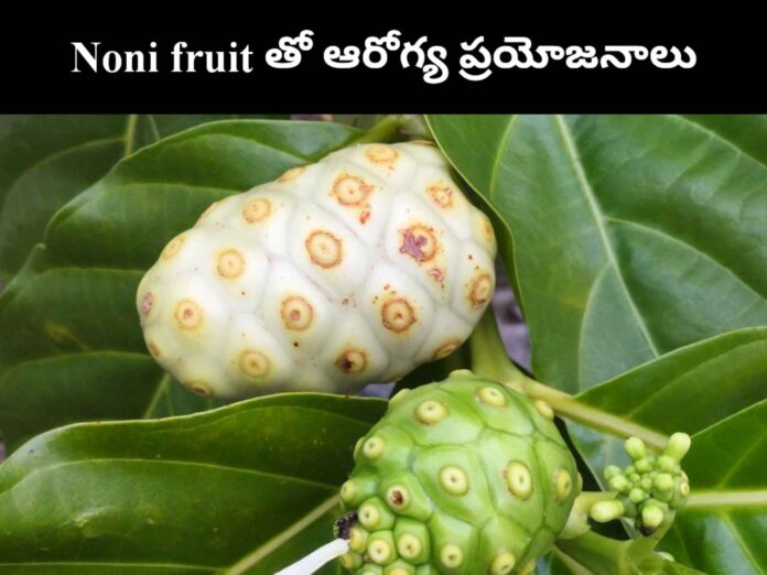 Noni fruit