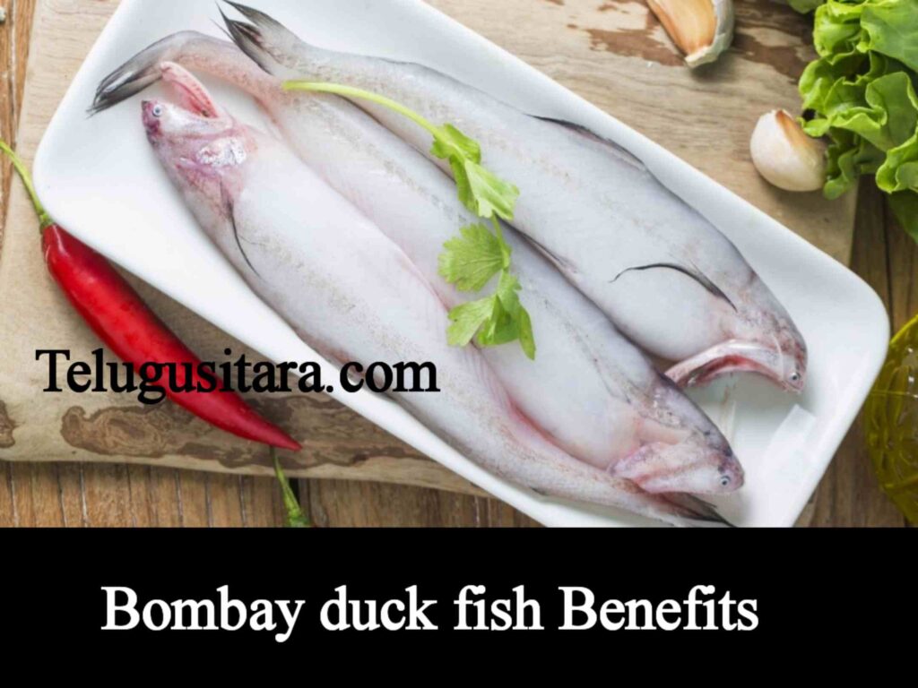 Benefits of Bombay duck fish