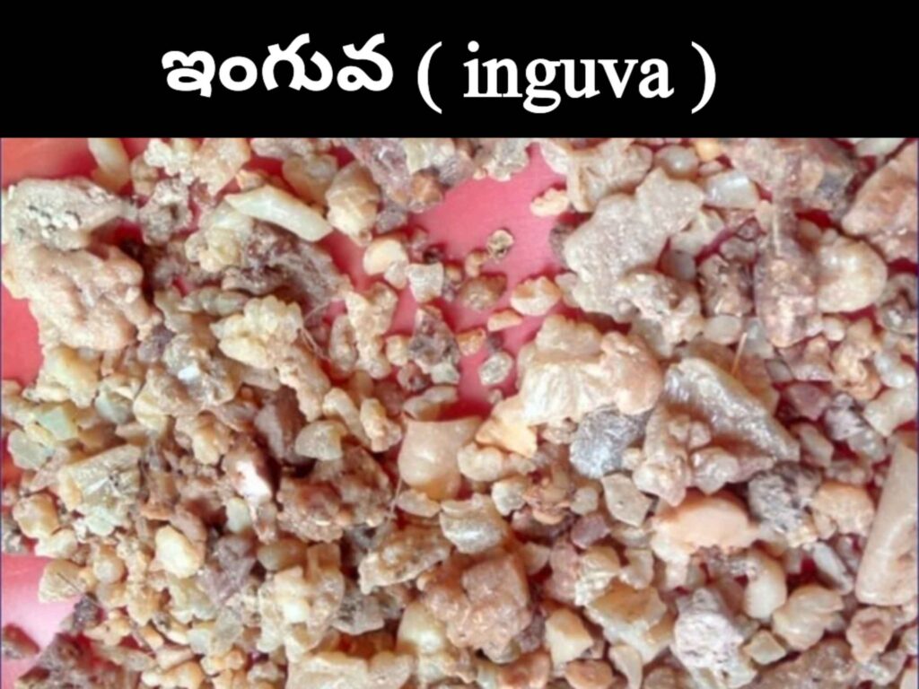 Inguva benefits in telugu