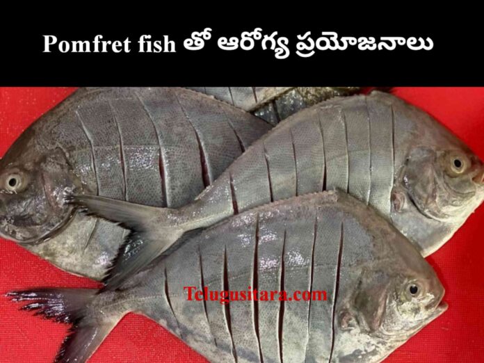 Pomfret fish