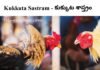 Kukkuta Sastram 2026 : కుక్కుట శాస్త్రం Kukkuta Sastram
