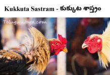 Kukkuta Sastram 2026 : కుక్కుట శాస్త్రం Kukkuta Sastram