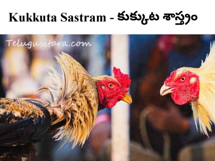 Kukkuta Sastram