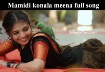Mamidi konala meena full song 2026 in telugu Mamidi konala meena full song