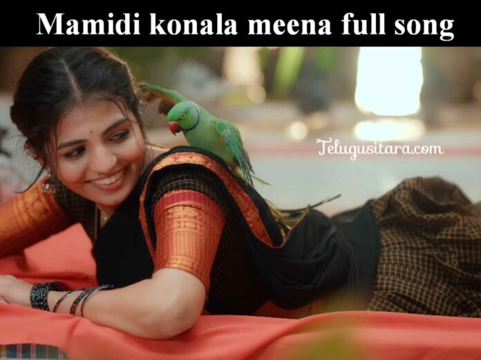 Mamidi konala meena full song