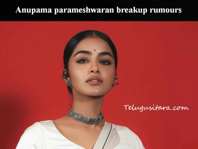 Anupama parameshwaran responds on love breakup